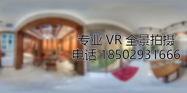 临西VR全景技术在未来可能的发展方向和应用领域?
